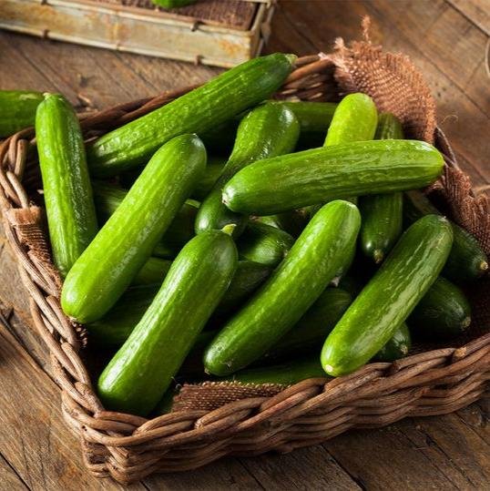 Green Cucumber