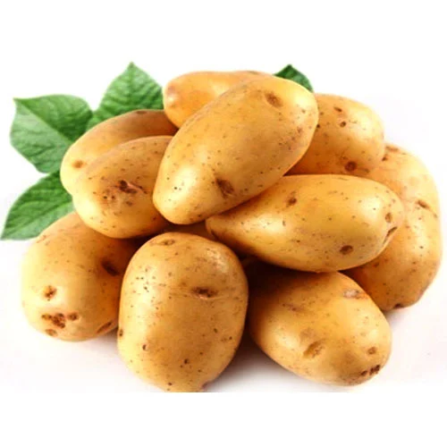 Fresh Potatoes